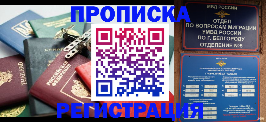 временная регистрация недорого в Няндоме